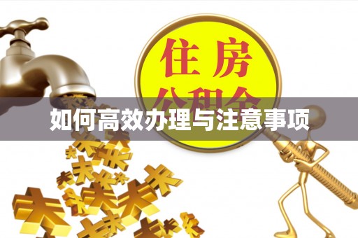 凤庆如何高效办理与注意事项