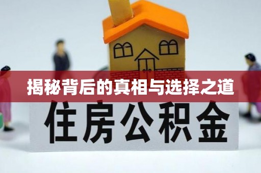 凤庆揭秘背后的真相与选择之道