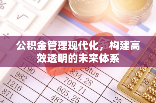 凤庆公积金管理现代化，构建高效透明的未来体系