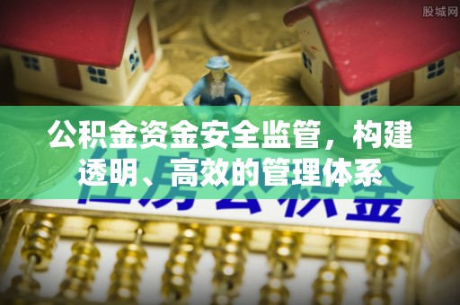 凤庆公积金资金安全监管，构建透明、高效的管理体系