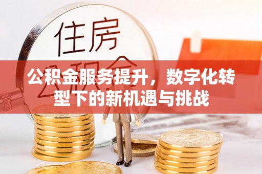 凤庆公积金服务提升，数字化转型下的新机遇与挑战