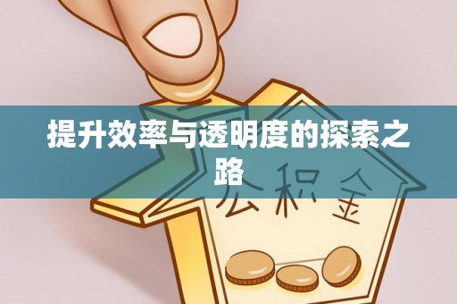 凤庆提升效率与透明度的探索之路
