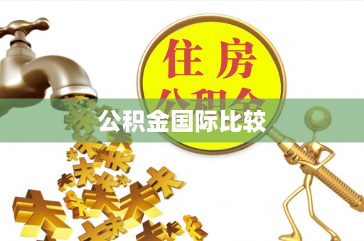 凤庆公积金国际比较