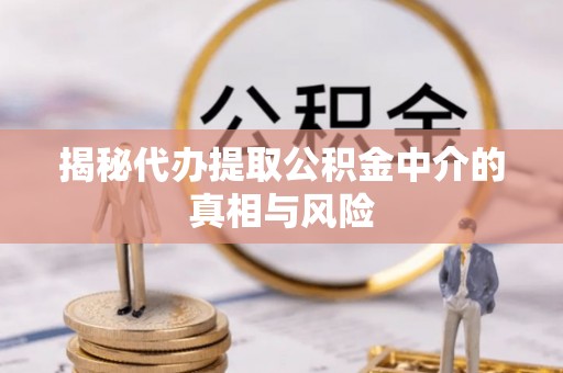 凤庆揭秘代办提取公积金中介的真相与风险