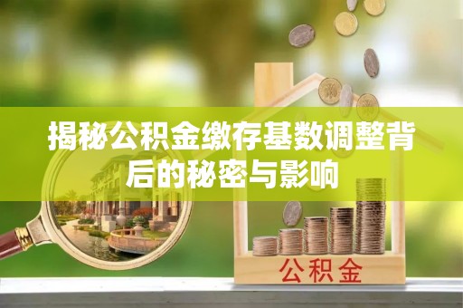 凤庆揭秘公积金缴存基数调整背后的秘密与影响