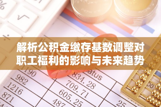 凤庆解析公积金缴存基数调整对职工福利的影响与未来趋势
