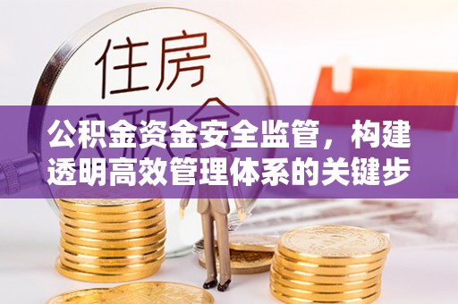 凤庆公积金资金安全监管，构建透明高效管理体系的关键步骤