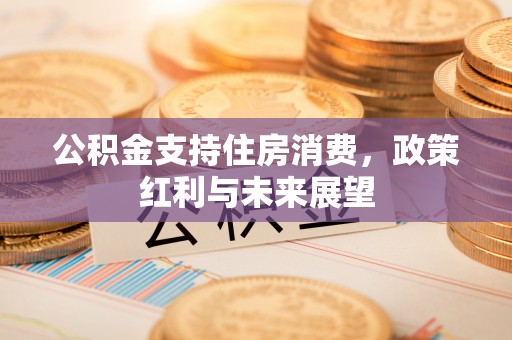 凤庆公积金支持住房消费，政策红利与未来展望