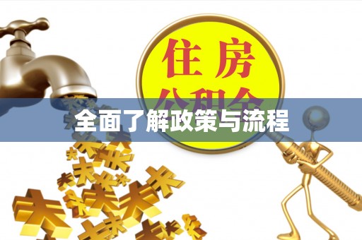 凤庆全面了解政策与流程