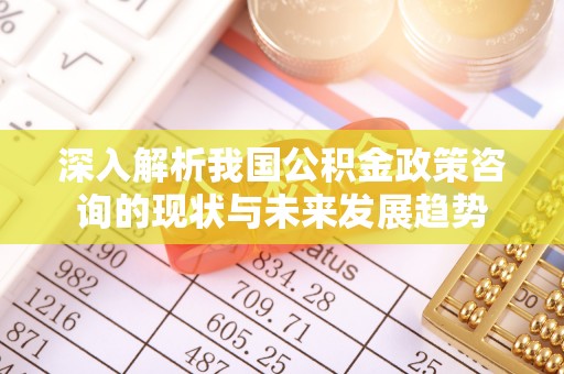凤庆深入解析我国公积金政策咨询的现状与未来发展趋势