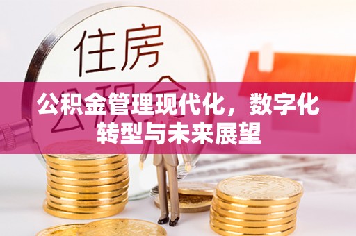 凤庆公积金管理现代化，数字化转型与未来展望