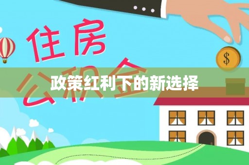 凤庆政策红利下的新选择