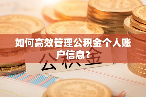 凤庆如何高效管理公积金个人账户信息？