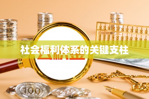 凤庆社会福利体系的关键支柱