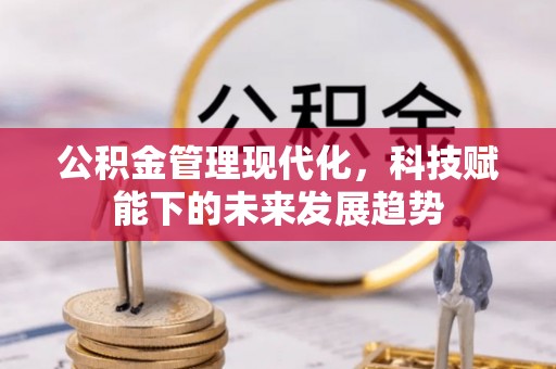 凤庆公积金管理现代化，科技赋能下的未来发展趋势