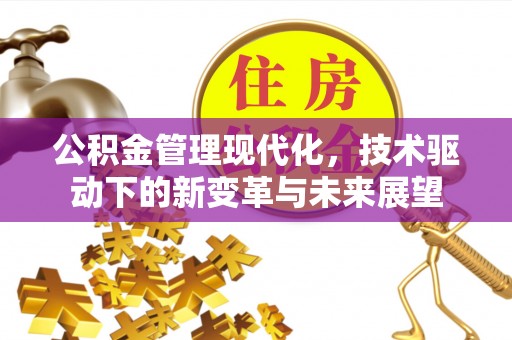 凤庆公积金管理现代化，技术驱动下的新变革与未来展望
