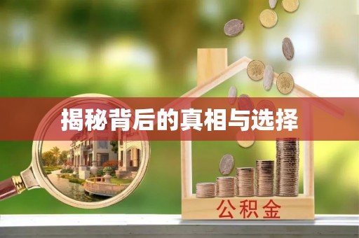 凤庆揭秘背后的真相与选择
