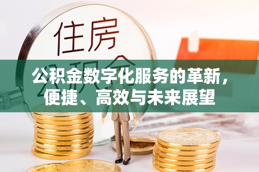 凤庆公积金数字化服务的革新，便捷、高效与未来展望