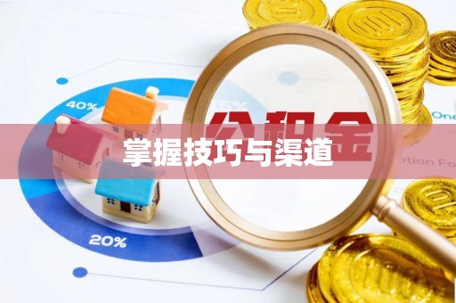 凤庆掌握技巧与渠道