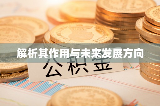 凤庆解析其作用与未来发展方向