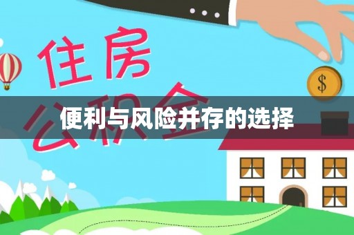 凤庆便利与风险并存的选择