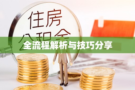 凤庆全流程解析与技巧分享