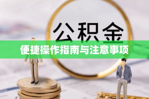 凤庆便捷操作指南与注意事项
