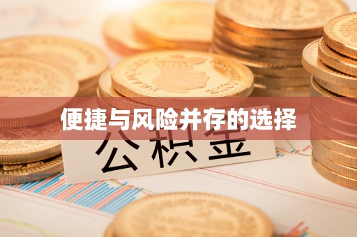 凤庆便捷与风险并存的选择