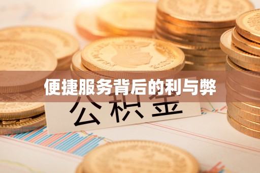 凤庆便捷服务背后的利与弊